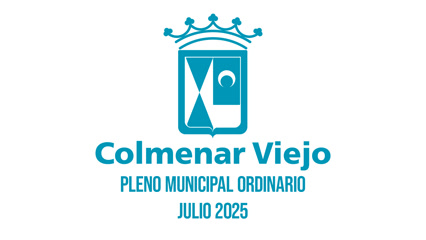 Pleno Municipal Ordinario...