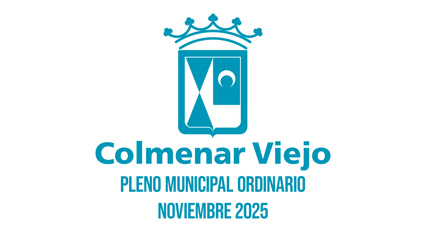 Pleno Municipal Ordinario...